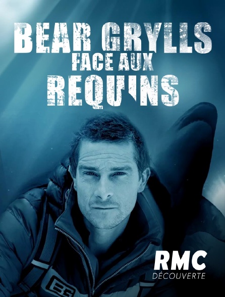 RMC Découverte - Bear Grylls face aux requins