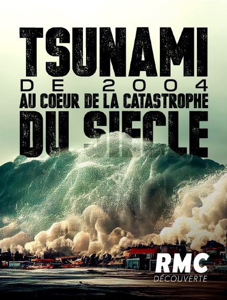 RMC Découverte - Tsunami de 2004 : au coeur de la catastrophe du siècle