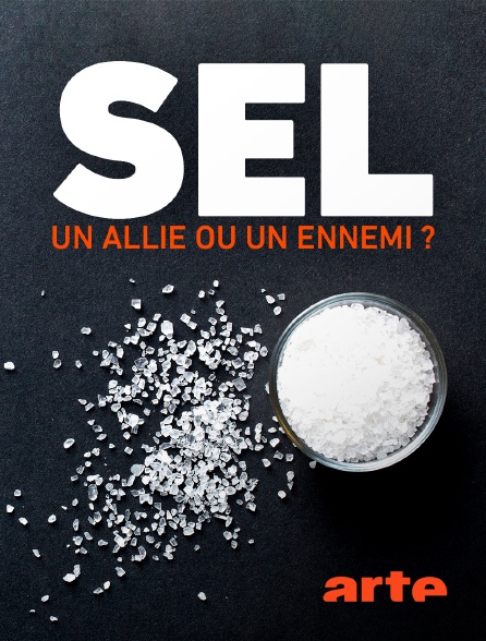 Arte - Sel : un allié ou un ennemi ?