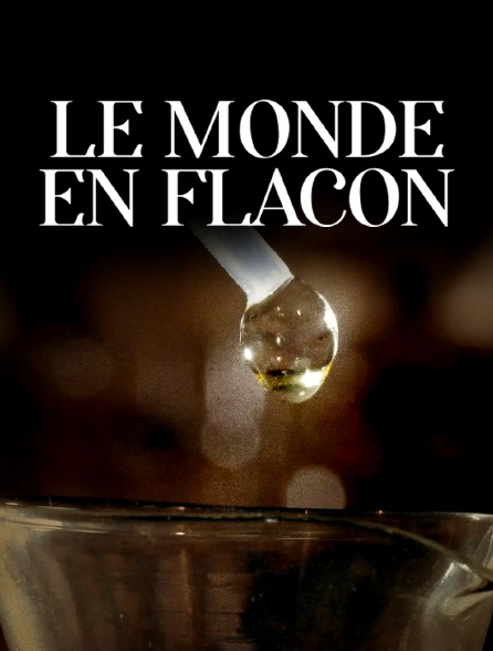 Le monde en flacon