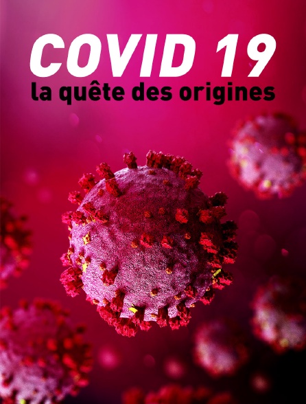 Covid-19, la quête des origines