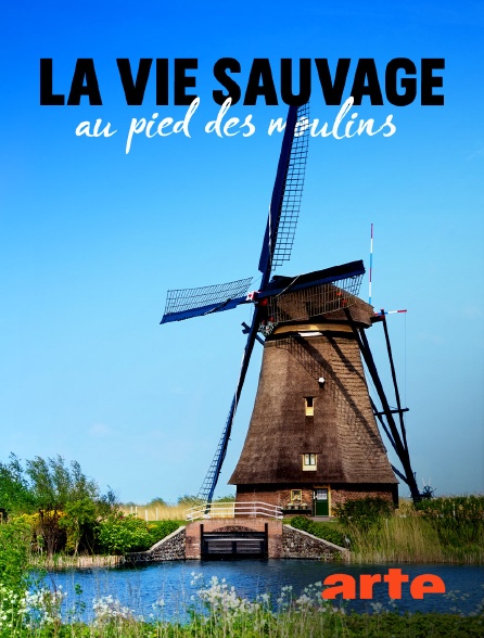 Arte - La vie sauvage au pied des moulins