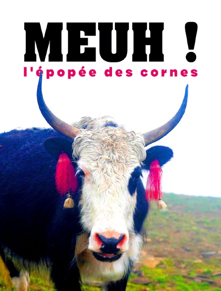 Meuh ! L'épopée des cornes