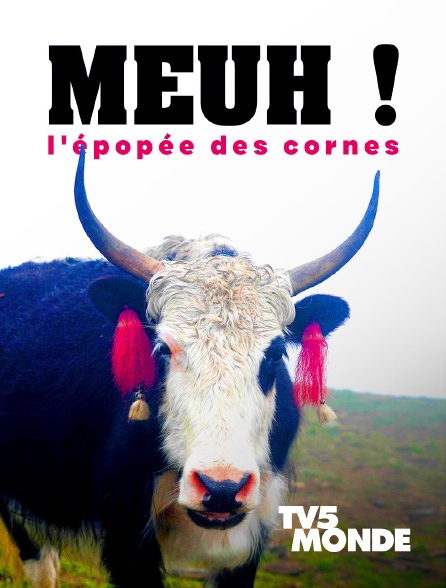 TV5MONDE - Meuh ! L'épopée des cornes