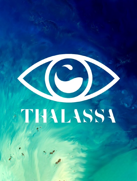 Thalassa - 26/08/2023 à 02h40