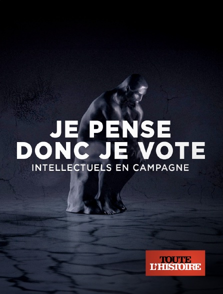 Toute l'Histoire - Je pense donc je vote