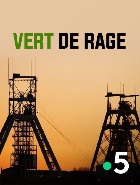 France 5 - Vert de rage