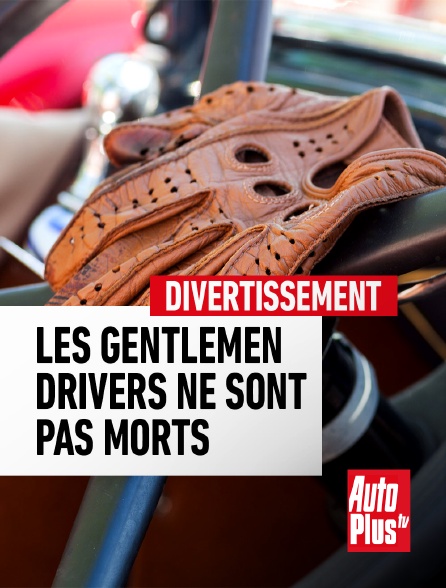 AutoPlus - Les Gentlemen drivers ne sont pas morts