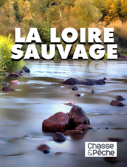 Chasse et pêche - La Loire sauvage