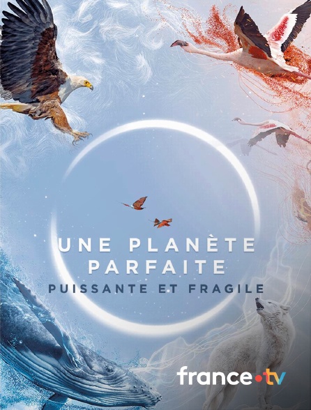 France.tv - Une planète parfaite