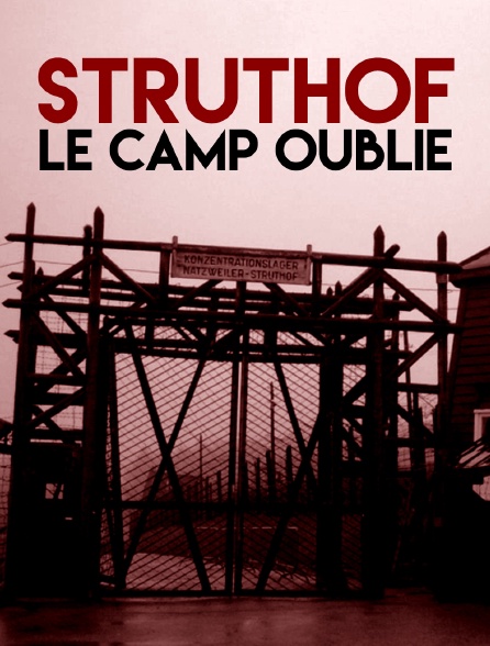 Struthof, le camp oublié