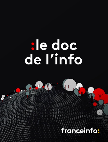 franceinfo: - Le doc de l'info - 21/09/2024 à 21h55