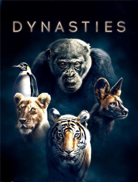 Dynasties