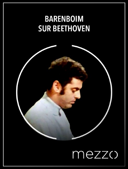 Mezzo - Barenboim sur Beethoven