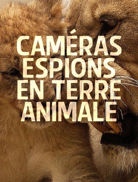 Caméras espions en terre animale