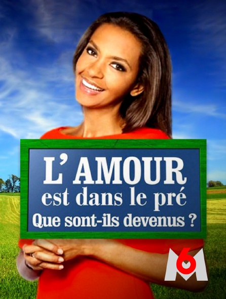 M6 - L'amour est dans le pré : Que sont-ils devenus ? - 29/08/2023 à 00h13