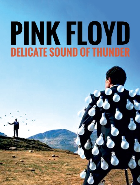 Pink Floyd : Delicate Sound of Thunder - 14/03/2022 à 05h00