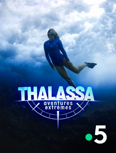 France 5 - Thalassa, aventures extrêmes - 30/09/2024 à 21h05