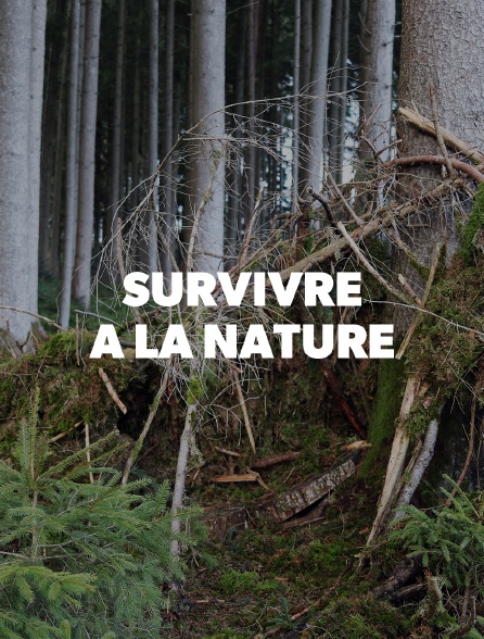 Survivre à la nature