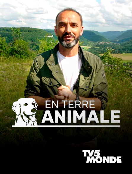 TV5MONDE - En terre animale