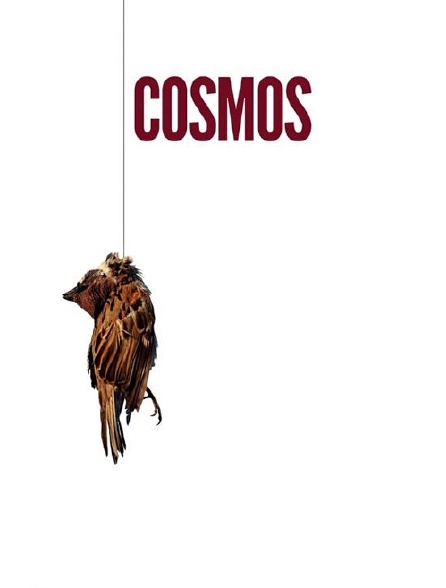 Cosmos