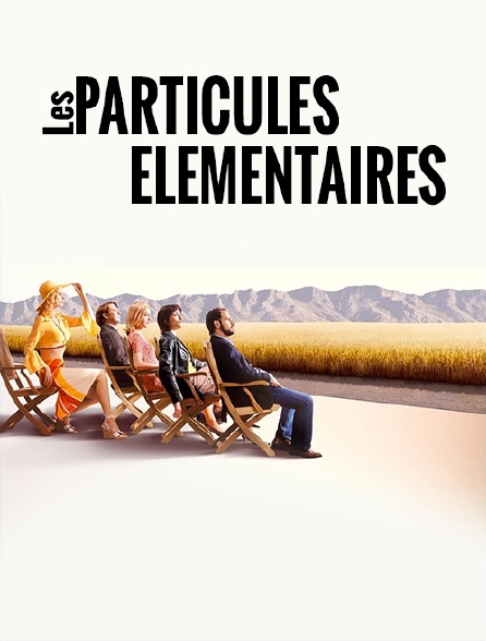 Les particules élémentaires