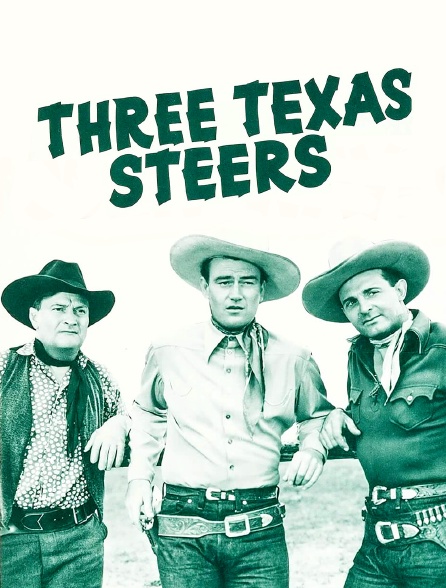 Three Texas Steers