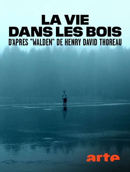 Arte - La vie dans les bois d'après "Walden" de Henry David Thoreau