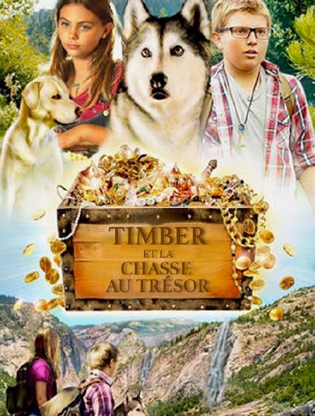 Timber et la carte au trésor