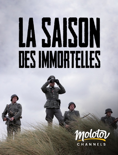 Molotov channels - La saison des immortelles