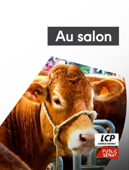 LCP Public Sénat - Au salon