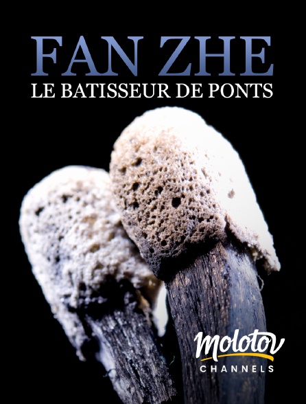 Molotov channels - Fan Zhe, Le Batisseur De Ponts