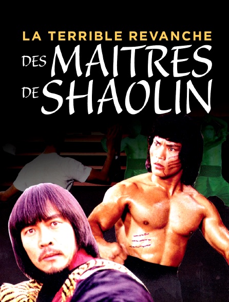 La terrible revanche des maitres de Shaolin - 05/07/2024 à 19h37