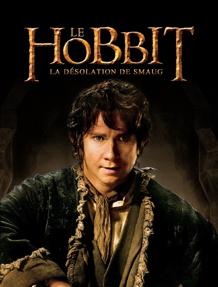 Le Hobbit : la désolation de Smaug