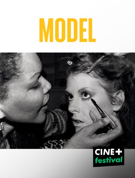 CINE+ Festival - Model