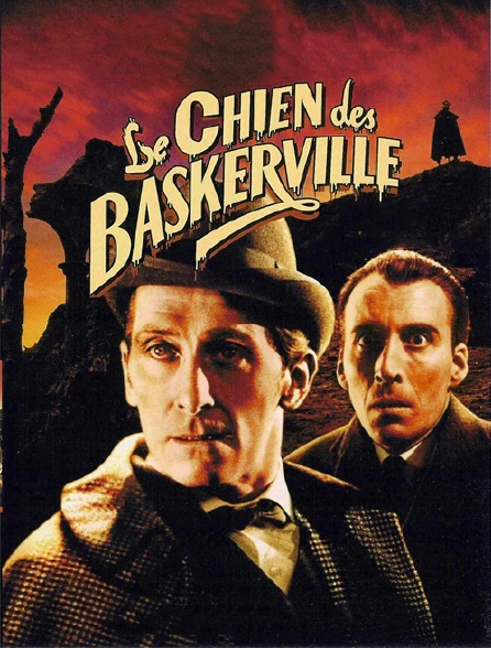 Le chien des Baskerville