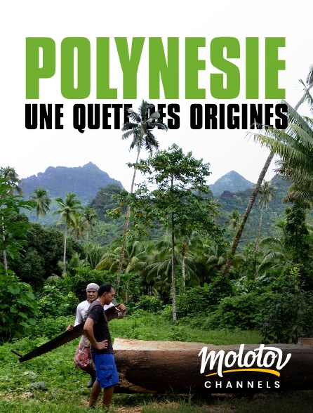 Molotov channels - Polynésie : une quête des origines