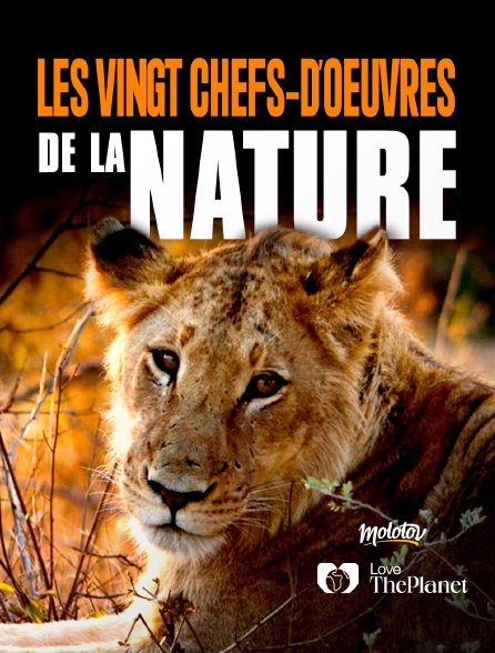 Love the Planet - Les vingt chefs-d'œuvre de la nature