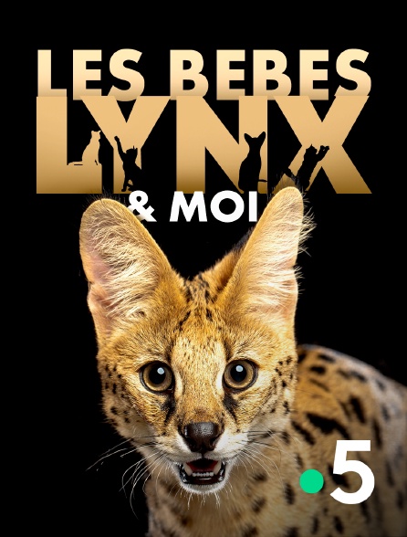 France 5 - Les bébés lynx et moi - 28/07/2024 à 13h33