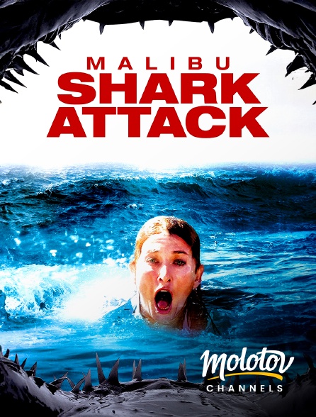 Molotov channels - Malibu Shark Attack