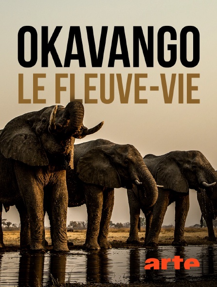 Arte - Okavango : Le fleuve des rêves