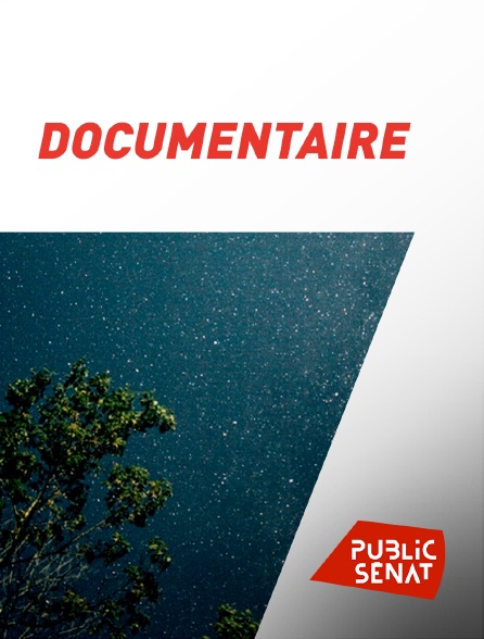 Public Sénat - Documentaire - 06/11/2023 à 04h30