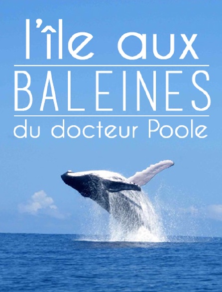 L'île aux baleines du docteur Poole