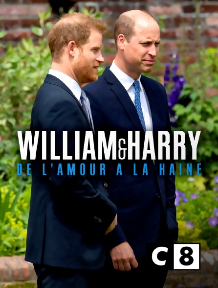 C8 - William et Harry : de l'amour à la haine