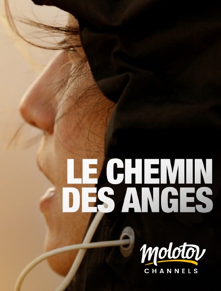 Molotov channels - Le chemin des anges