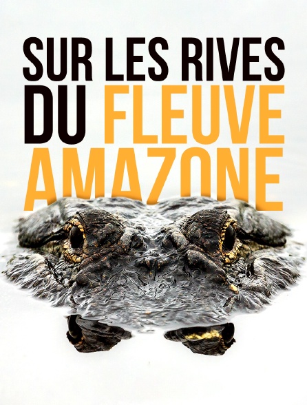 Sur les rives du fleuve Amazone