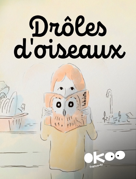 Okoo - Drôles d'oiseaux