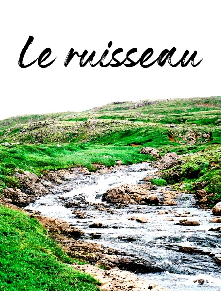 Le ruisseau