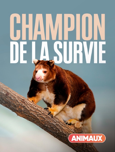 Animaux - Champion de la survie