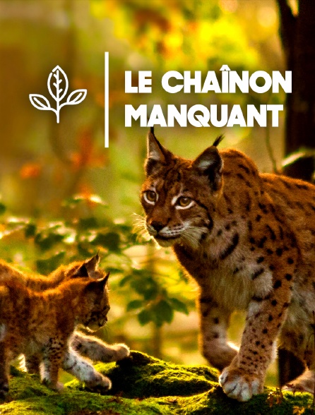 Le Chaînon manquant